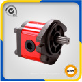 Iron Cover Hydraulic Gear Pump Motor